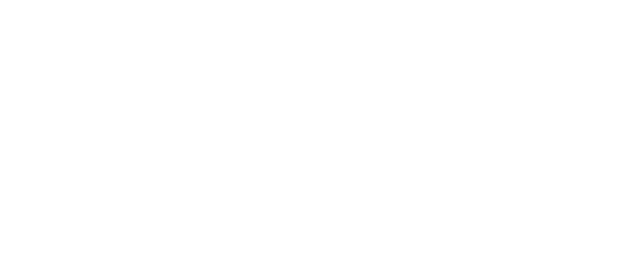 Zapi Zapi