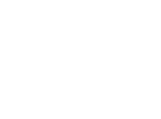 fluentIA